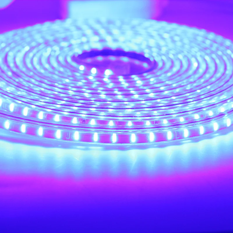 

LAIMAIK AC220V Led Lights Tape IP67 Waterproof EU Plug Flexible LED Strip Lighting 120 Leds/m 3014SMD outdoor Led strip light