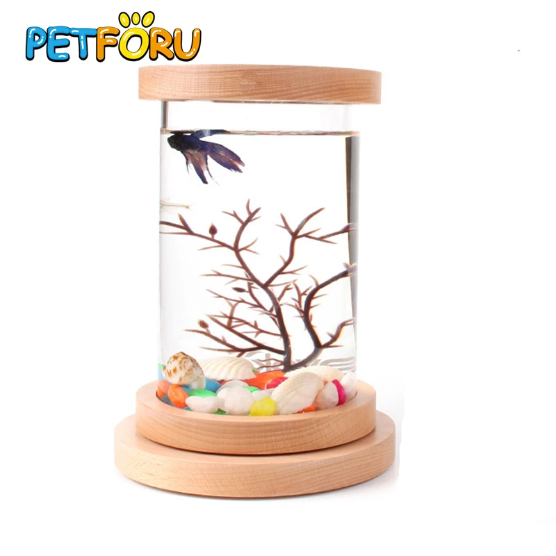 Мини Настольная экологическая бутылка аквариум Bettas цилиндр