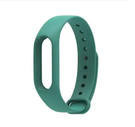 Xiaomi Mi пояс 2 браслет Band цветная вешалка сменный Браслет Смарт ремень аксессуары