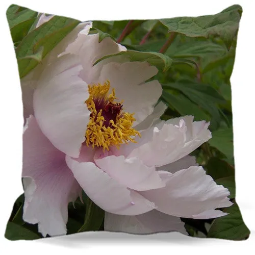 Новинка 2017 весенний квадратный чехол для подушки с рисунком пиона белого