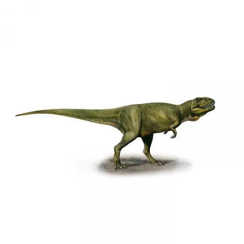 3D переключатель Стикеры динозавров юрского номера Детская комната макет