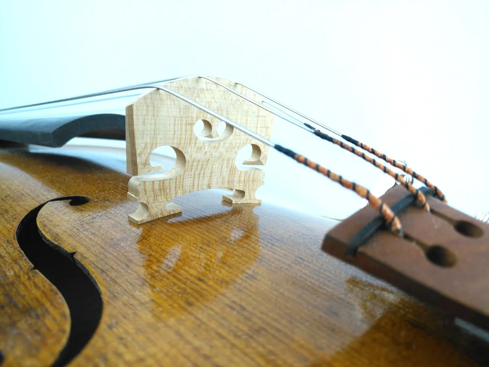 Ель 50 лет! Копия итальянской альты 19 века размер 16 дюймов модель Stradivarius и масляный