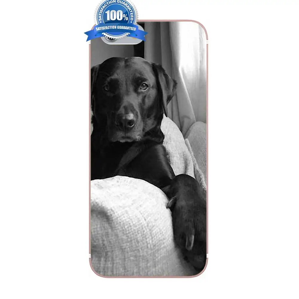 Soft Custom Design Cute Pet Dog Labrador Retriever For Xiaomi Redmi 5 4A 3 3S Pro Mi4 Mi4i Mi5 Mi5S Mi Max Mix 2 Note 4 Plus | Мобильные