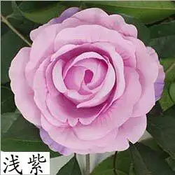 Light Purple 7 шт. большой искусственный цветок розы головы Шелковый цветок настенный Декор Флорес фон DIY дорога светодиодные декорации, свадебное украшение розы Цветочные - Цвет: Light Purple
