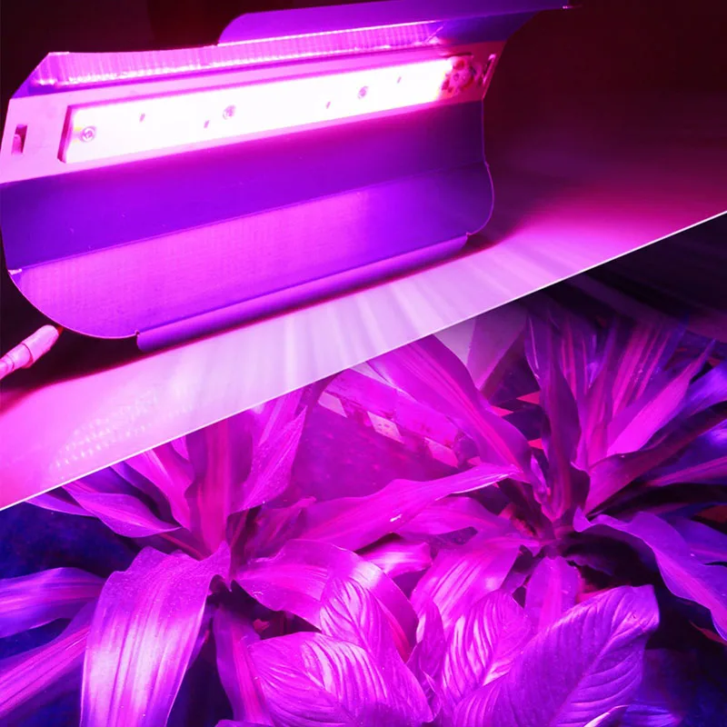 30W 50W LED Flood Grow Lights High Power COB Light IP67 Waterproof 110V 220V For Plant Greenhouse Hydroponics | Освещение
