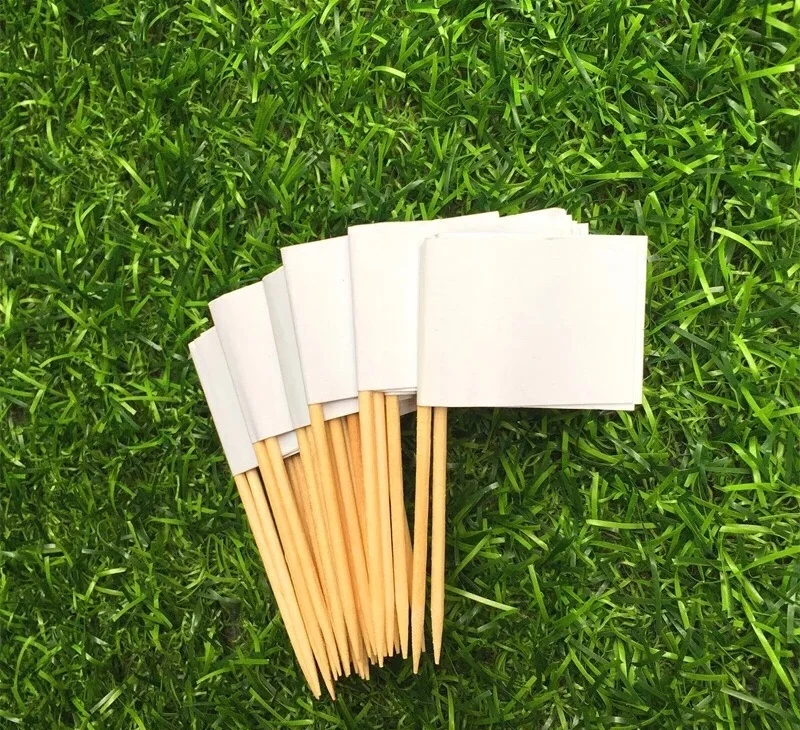 

Toothpicks Flag Picks Appetizer Toothpicks Fruit Sticks for Cocktail Party - White