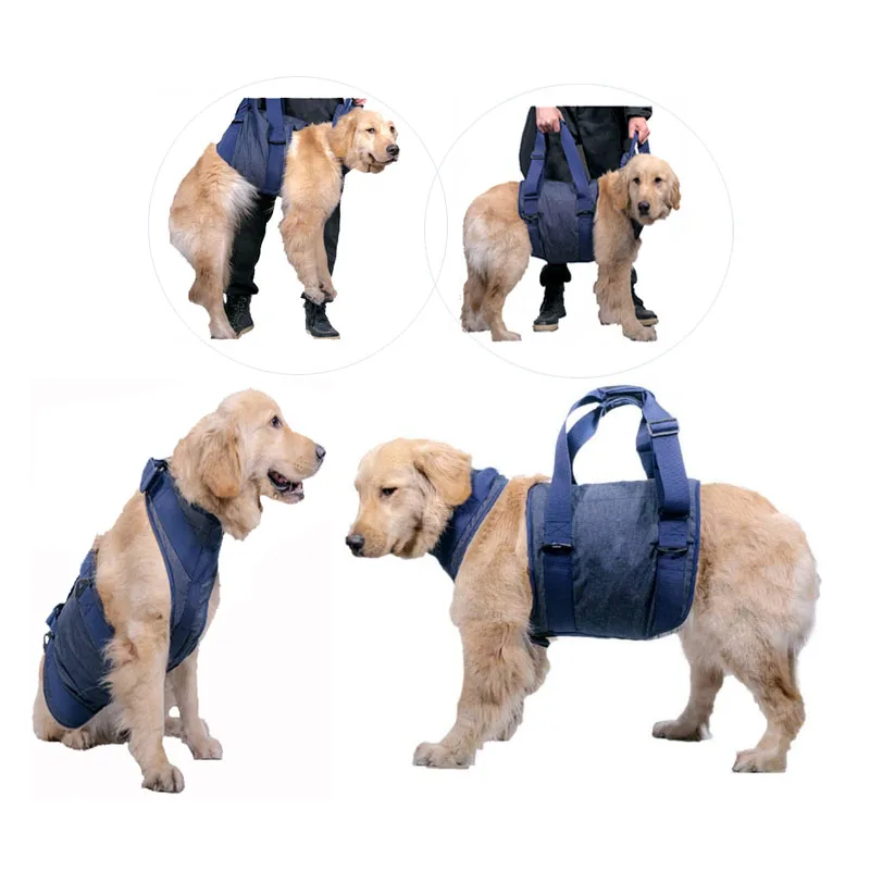 

Подъемный ремень для собак, вспомогательный ремень, реабилитационный жилет для животных, подвижность, артрит, хирургия, для пожилых собак, б...