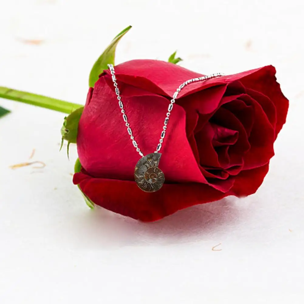 Натуральное ожерелье с подвеской из окаменелой раковины необработанный камень