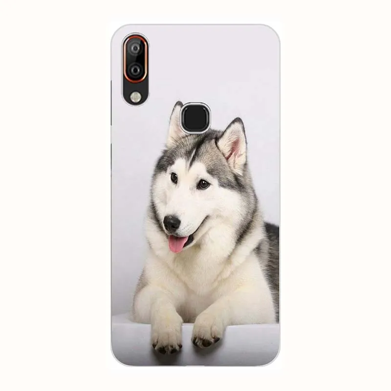 A34 Для BQ Vsmart Joy 1 Plus PQ6002/Active 1 Plus PQ4002 6,1" чехол с милым рисунком розы волка Мягкий силиконовый чехол для телефона - Цвет: A34