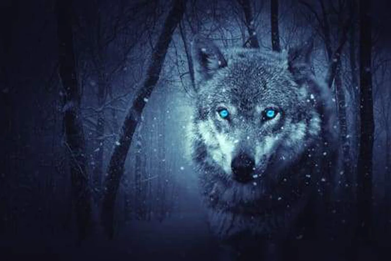 GLymg мозаика подарок 5d алмазная вышивка Arctic Snow Wolf Рукоделие Набор для картин из