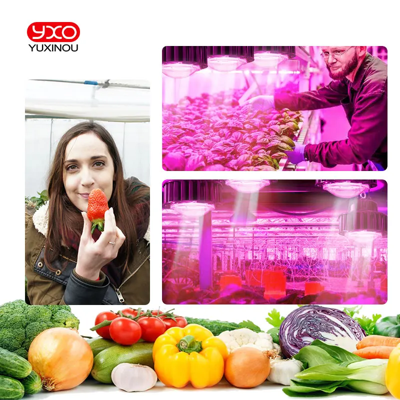 200 Вт CREE Cob CXB3590 xpe 660nm led grow lights с Meanwell dimmable Led Driver для Крытый парниковый коробка