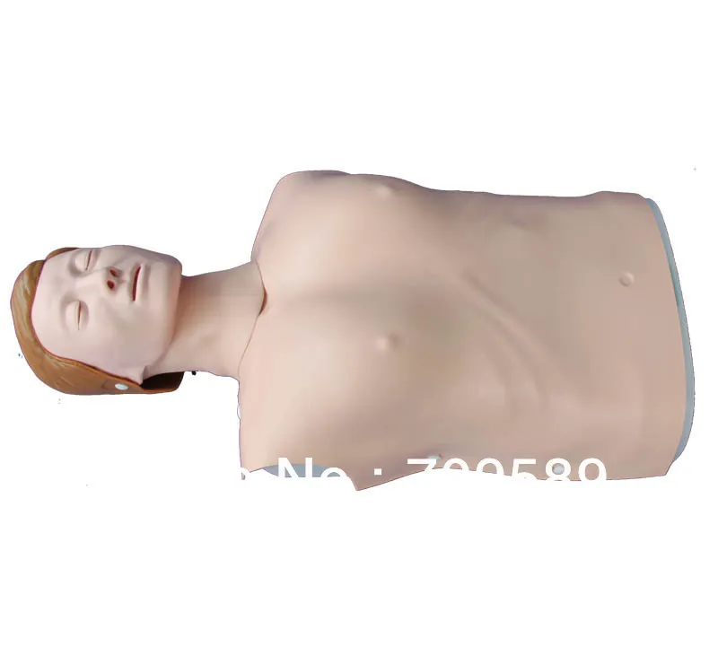 

Vivid Half-body CPR Training manikin, First Aid manikin, Female CPR Manikin