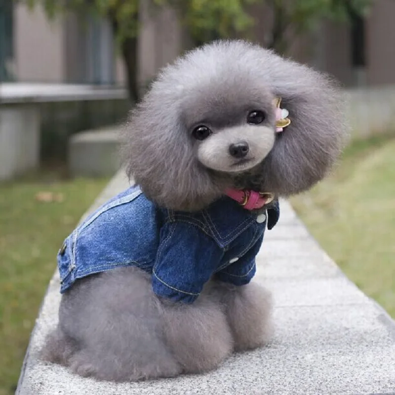 Классическая тонкая одежда для мальчиков и мужчин на весну лето маленьких собак