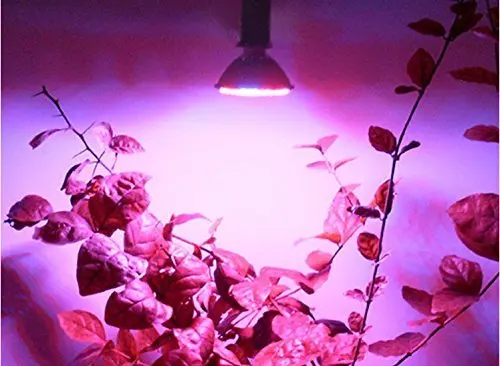 10 шт. Светодиодная лампа для выращивания растений Bulb10W E27 Крытая гидропонная