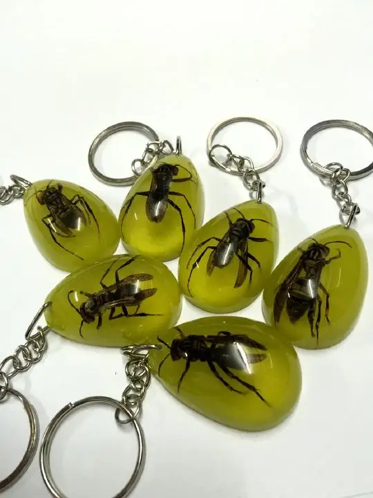 50 pcs key ring real honeybee specimen drop keychain