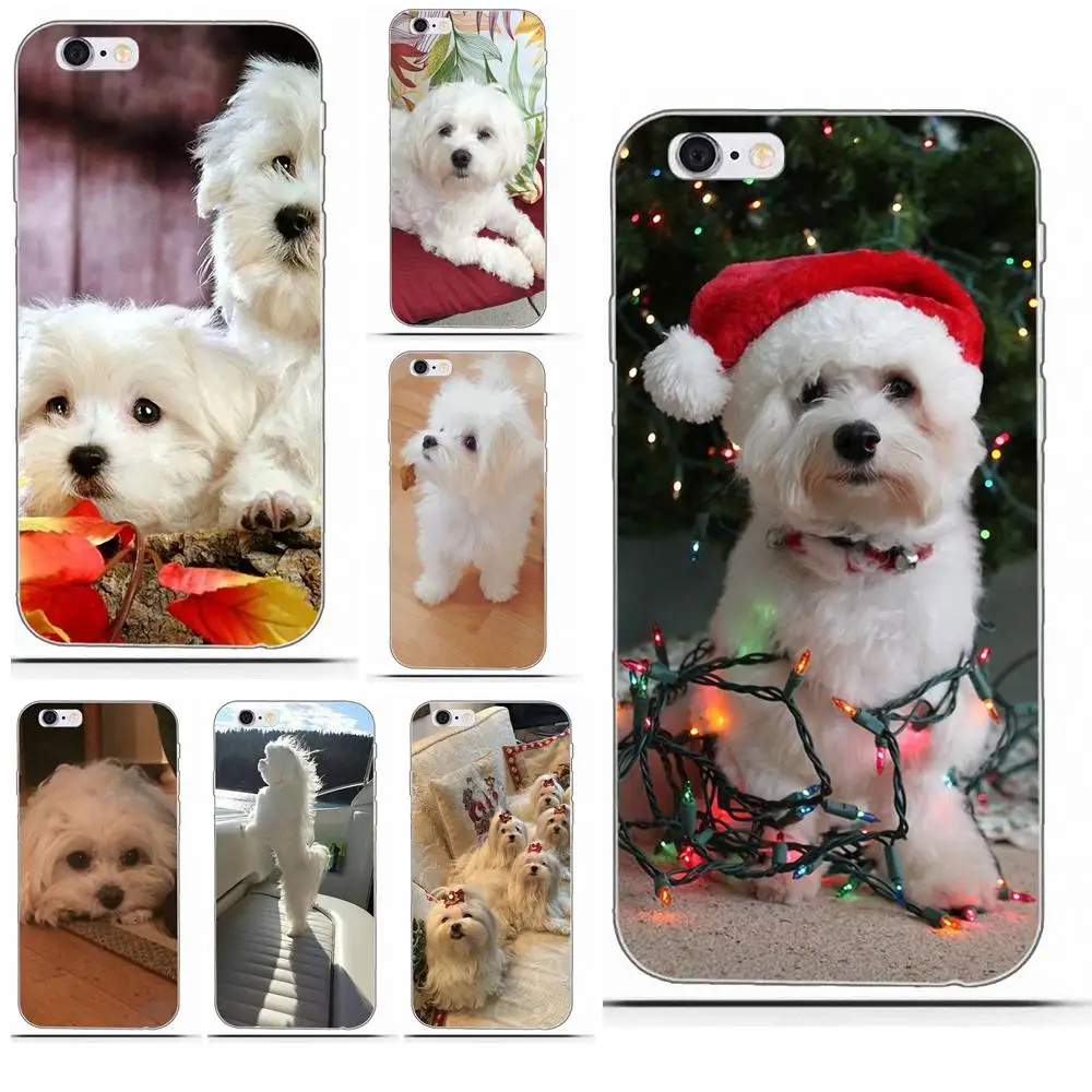 Perciron мягкий чехол для Huawei P7 P8 P9 P10 P20 P30 Lite Mini Plus Pro Мальтийская болонка