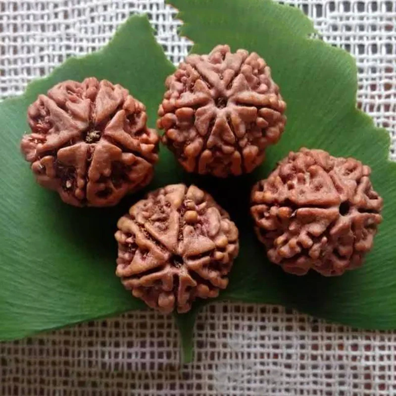 Тибетский браслет KingKong Bodhi 16 мм круглые бусины Rudraksha Будда молитва ювелирные