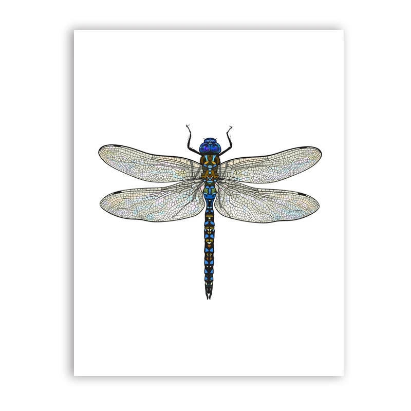 

Живопись стрекоза Live ustory канвас