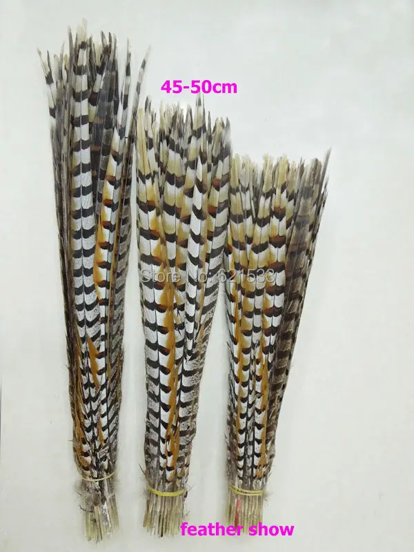 

50Pcs/lot!Pheasant Feathers,18-20" 45-50cm Natural Reeves Venery Pheasant Tail Feathers,Reeve Pheasant Tails