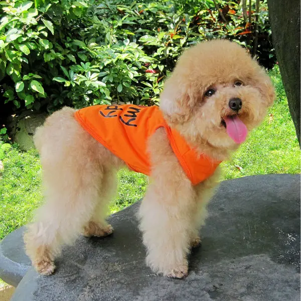 A40 Sweety Summer Pet Dog Mesh Vest Puppy baby dog Cats Parenting Breathable shirt Clothing Love Mommy Daddy | Дом и сад