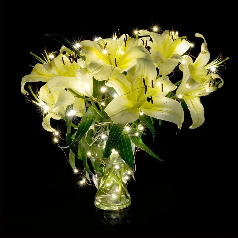 CR2032 Батарейная коробка медная проволока Рождественские огни 2 м 20LED