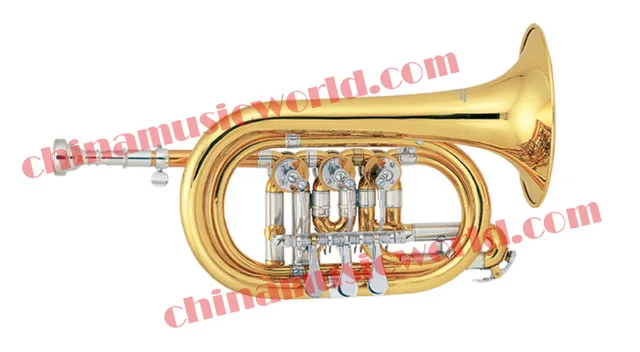 Китай музыкальный мир золотой лак вращающийся клапан Cornet труба (CMWRC-1500) | Спорт и