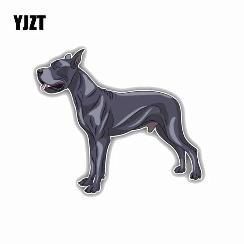 

YJZT 13,5*11,8 см отличная фотосессия