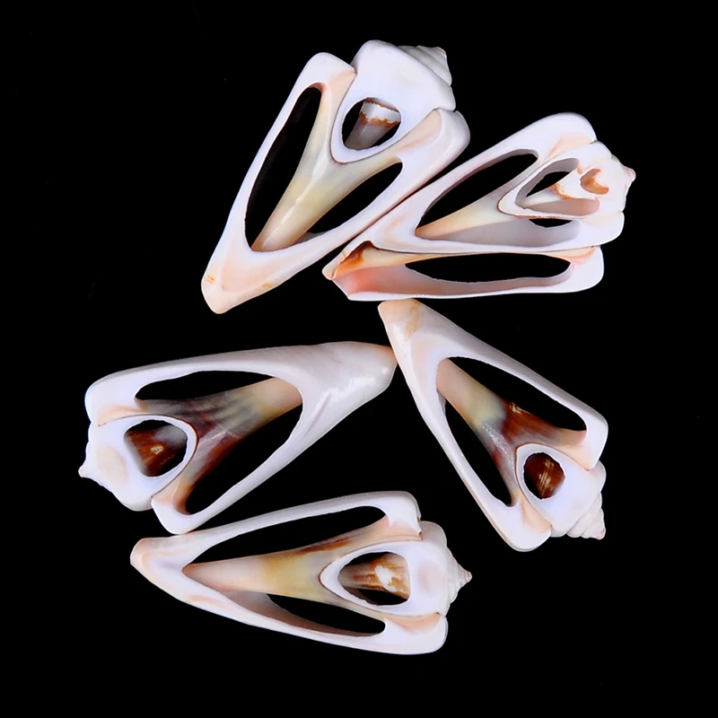 5 шт. размер: 4 6 см морских раковин Натуральный раковину бусины отверстия