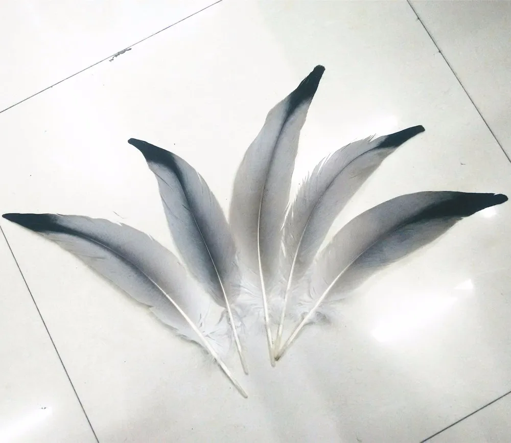 

10 PCS/lot natural color 2016 eagle feather a set of wholesale and retail ball ornament for the wedding decoration