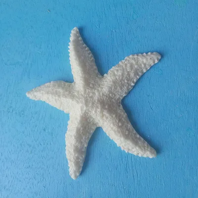 1 шт./лот, изделия из смолы, на палец, морская звезда, драпировка, "-4", отличные Свадебные или вечерние украшения для дома, Морская звезда, морская раковина