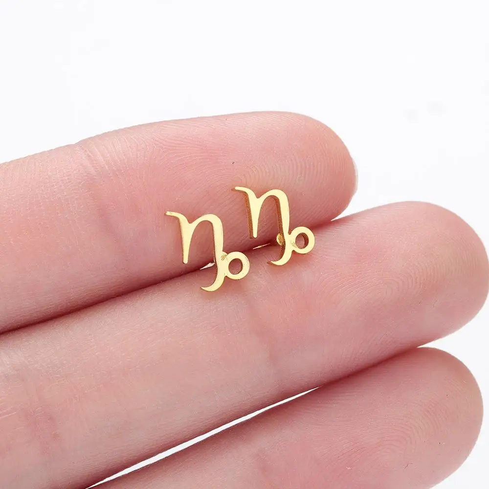 

QIAMNI Stainless Steel 12 Stars Zodiac Sign Stud Earrings for Women Men Constellation Symbols Birthday Gift Jewelry Pendientes
