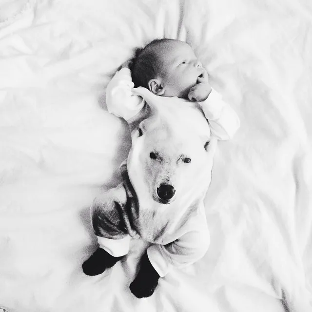 2019 autumn spring baby boy clothes Long sleeve newborn lovely girl clothing set romper infant | Детская одежда и обувь