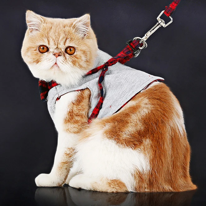 Галстук-бабочка Щенок Ошейник с бантиком и принтом кошечки аксессуары для