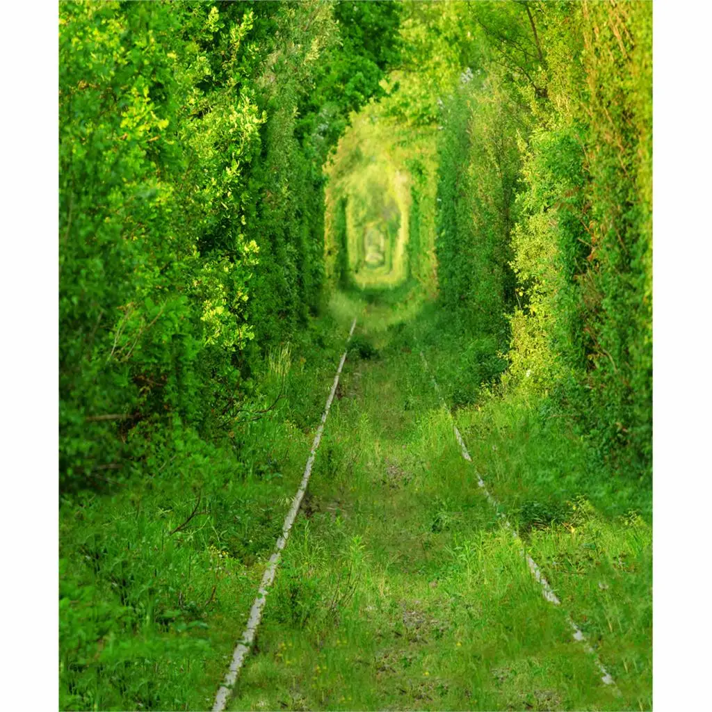 Весенняя фотография фон для фотосъемки трава пейзаж лес тихий новорожденный