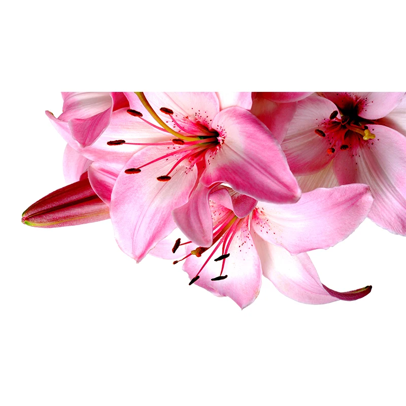 Beautiful pink Lily flower attractive canvas painting home deco art prints 3 psc realist wall pictures for restaurant cafe rooms | Дом и сад