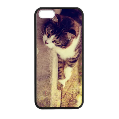 Online Quiet Cat Case for iPhone 5/5s |
