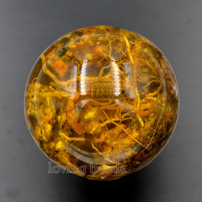 2 шт. 48 мм синтетический Настоящий скорпион декоративные камни круглые шар