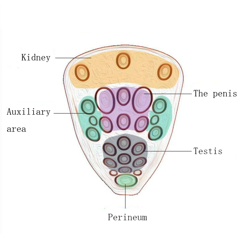 Мужской функциональный массажер электрический растягивающийся траин
