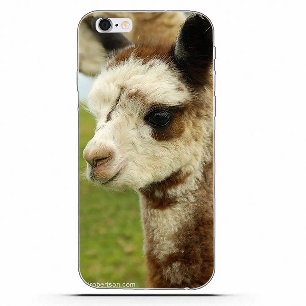 Swag Llama Alpacas для Apple iPhone 4 4S 5 5C 5S SE 6 6S 7 8 Plus X Мягкие ТПУ чехлы мобильных телефонов |