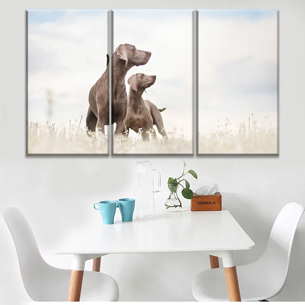 Современный дом DecorCanvas HD печатает плакат гостиная стены искусства рамки картины 3 шт. животное собака Веймаранер картины