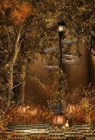 Хэллоуин фотографии фоны тыквы уличный светильник знак в туманном лесу фоны для фотостудии вечерние Фотофон