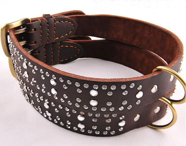 Товары для домашних животных товары собак тренировок на открытом воздухе