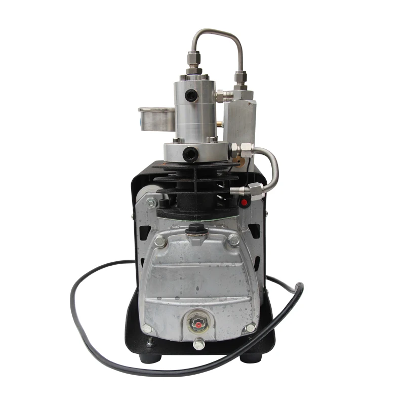 DMC 110В 60Гц 300BAR 30MPA 4500PSI Воздушный насос высокого давления Электрический воздушный