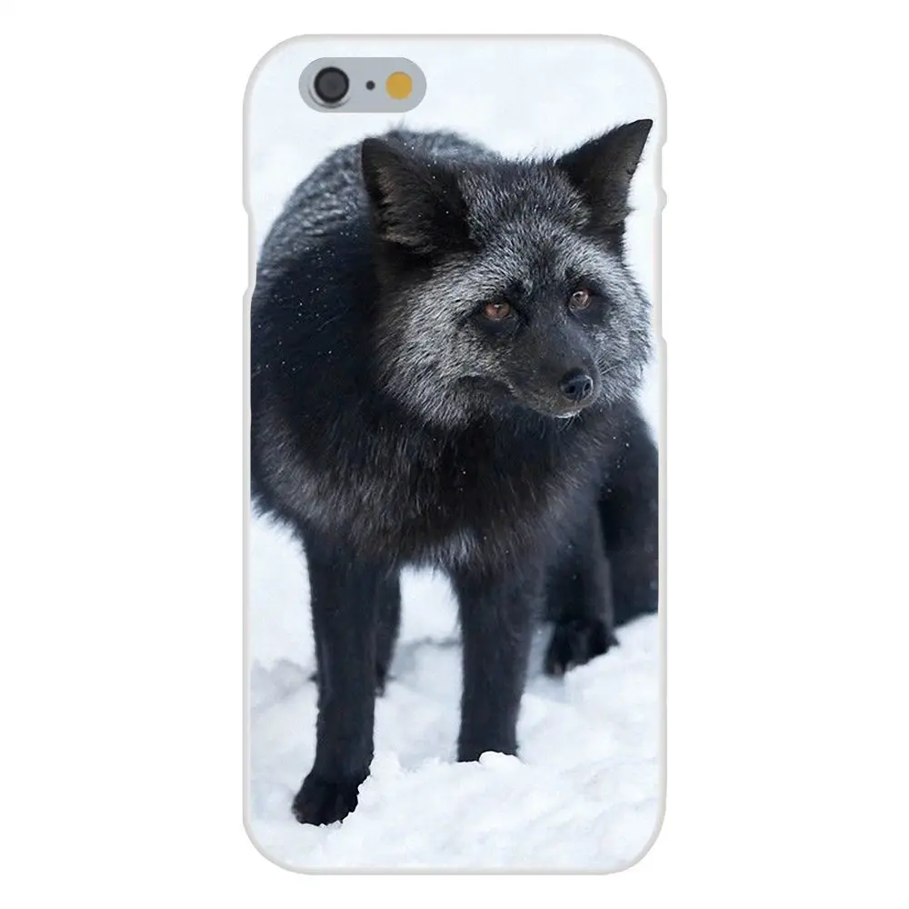 Мягкие защитные чехлы из ТПУ для Apple iPhone X XS Max XR 4 4S 5 5C 5S SE 6 6S 7 8 Plus Animal Fox | Мобильные