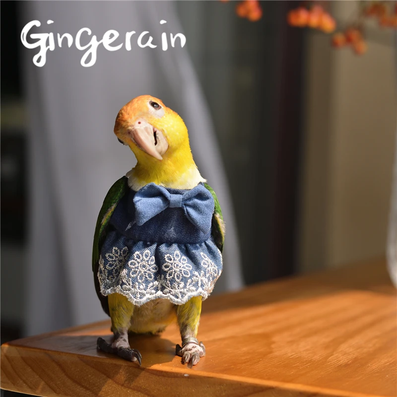 Gingerain одежда с птицами, одежда с попугаями, кружевная пачка, оригинальная ручная работа, одежда с птицами, кружевная пачка