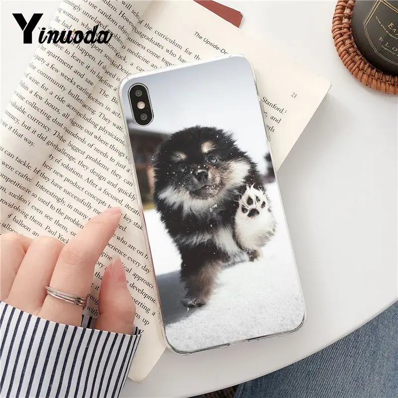 Yinuoda Dog Pomeranian Новое поступление Прозрачный чехол для телефона iPhone 5 5Sx 6 7 7plus 8 8Plus X XS