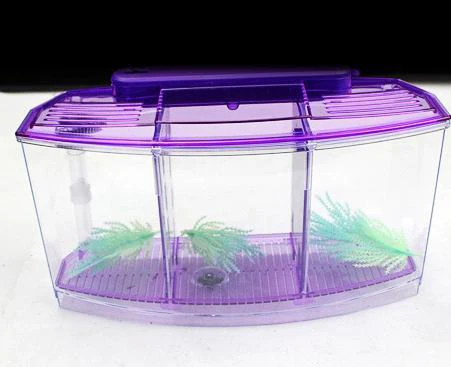 Style 2 - Purple Petshy USB мини аквариумный аквариум с светодиодный светильник ЖК-дисплей экран и Часы Домашнее украшение аквариумный аквариум - Цвет: Style 2 - Purple