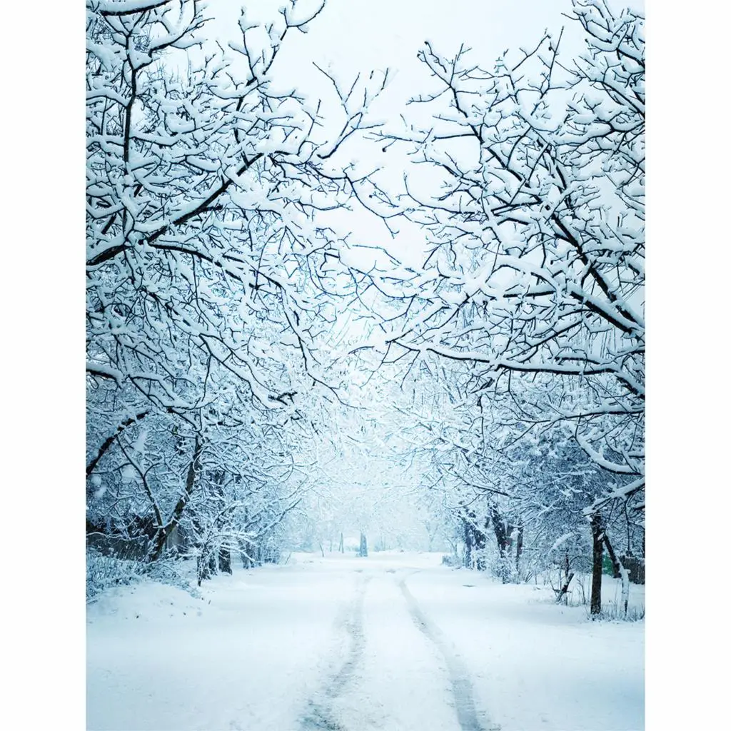 Allenjoy зимний фон для фотосъемки белый снег дорога ветка Романтический парк дерево
