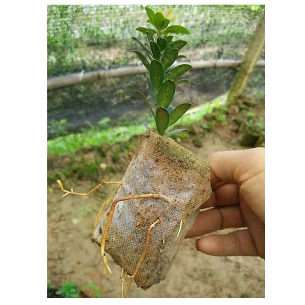 100 Pieces Biodegradable Non-Woven Nursery Bags Plant Grow Bags Fabric Seedling Pots