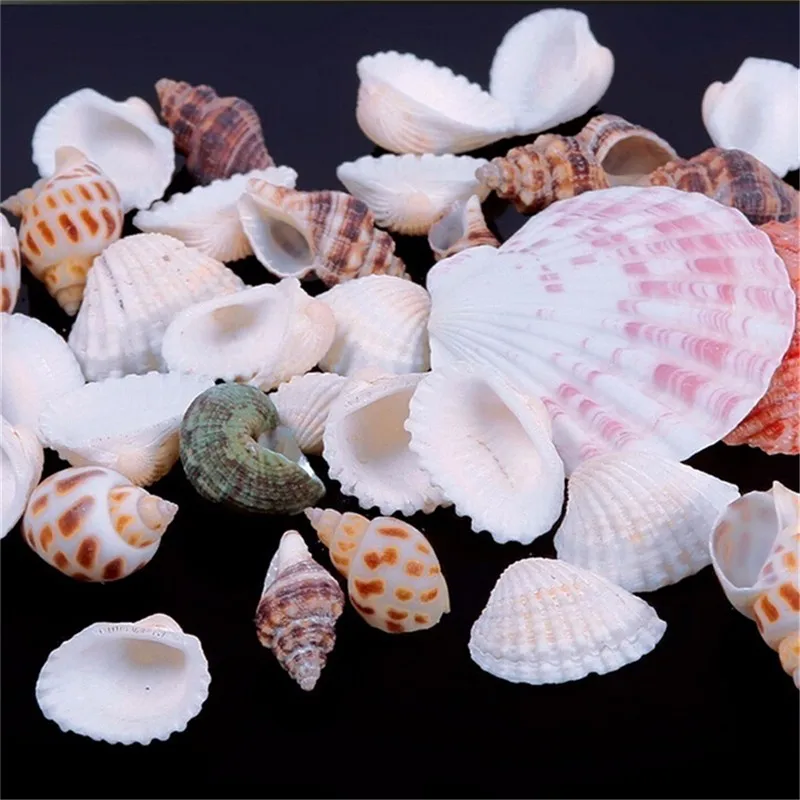 100 г много смешанных морских ракушек ремесло аквариум Морской Декор украшения натуральный мини раковины Средиземноморский